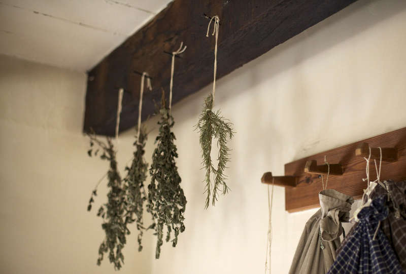hanging_herbs